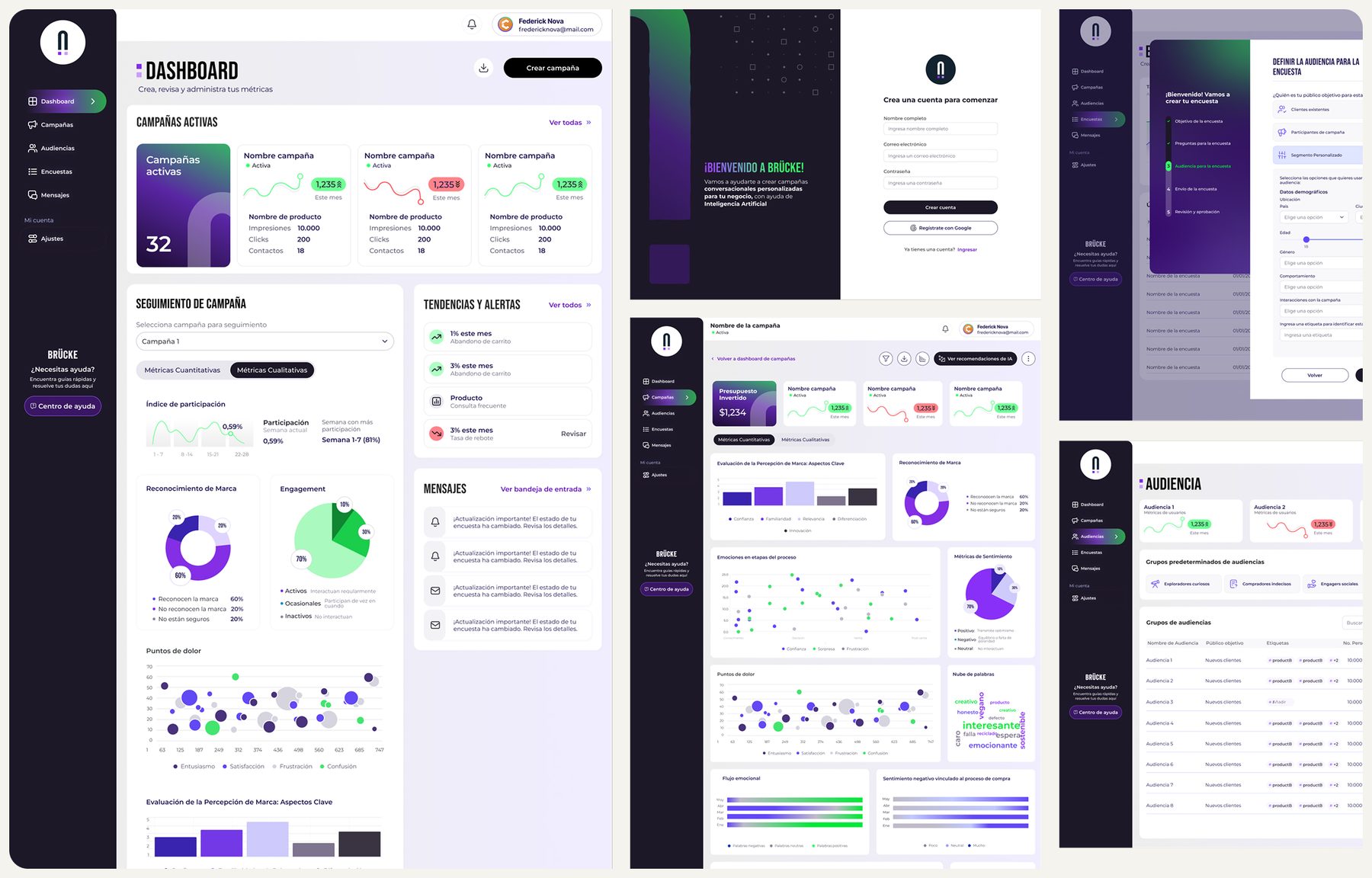 Brücke campaign dashboard, onboarding and audience screens